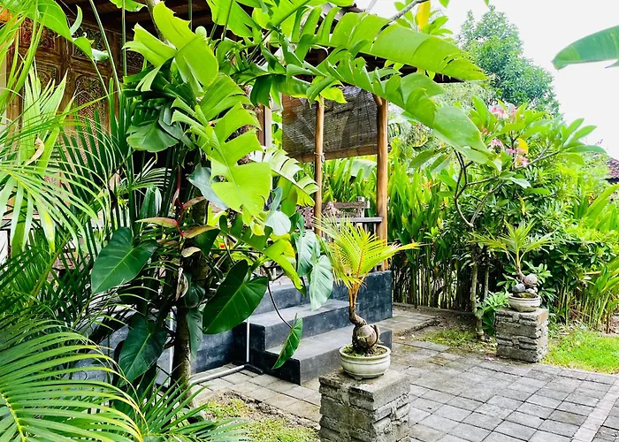 Widji *